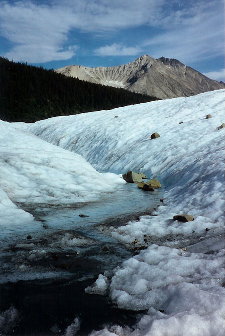 HikingRootGlacier