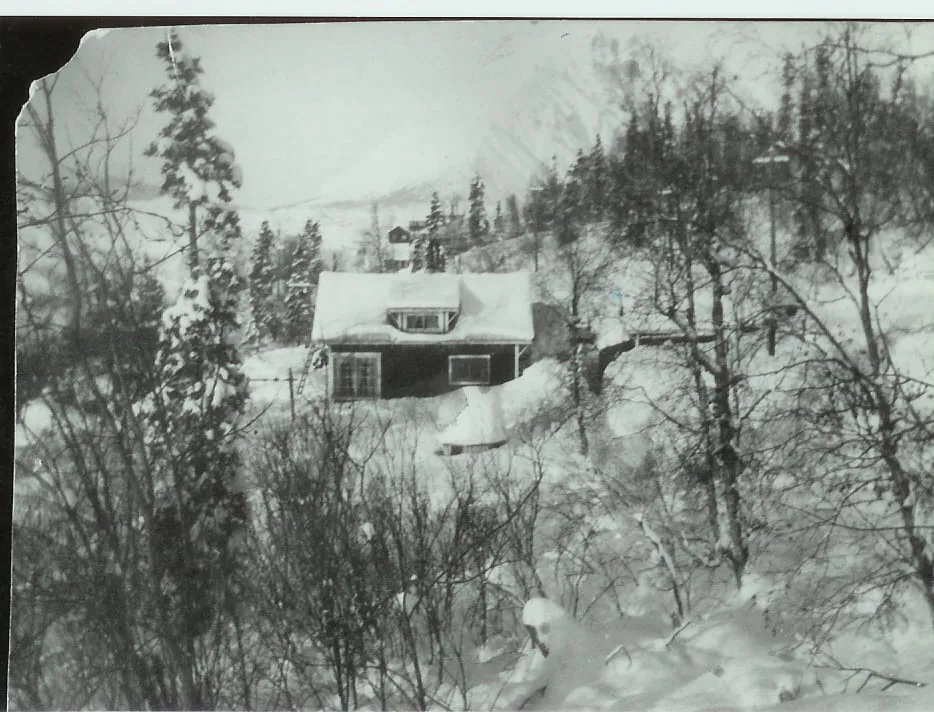 Cottage from the south in winter