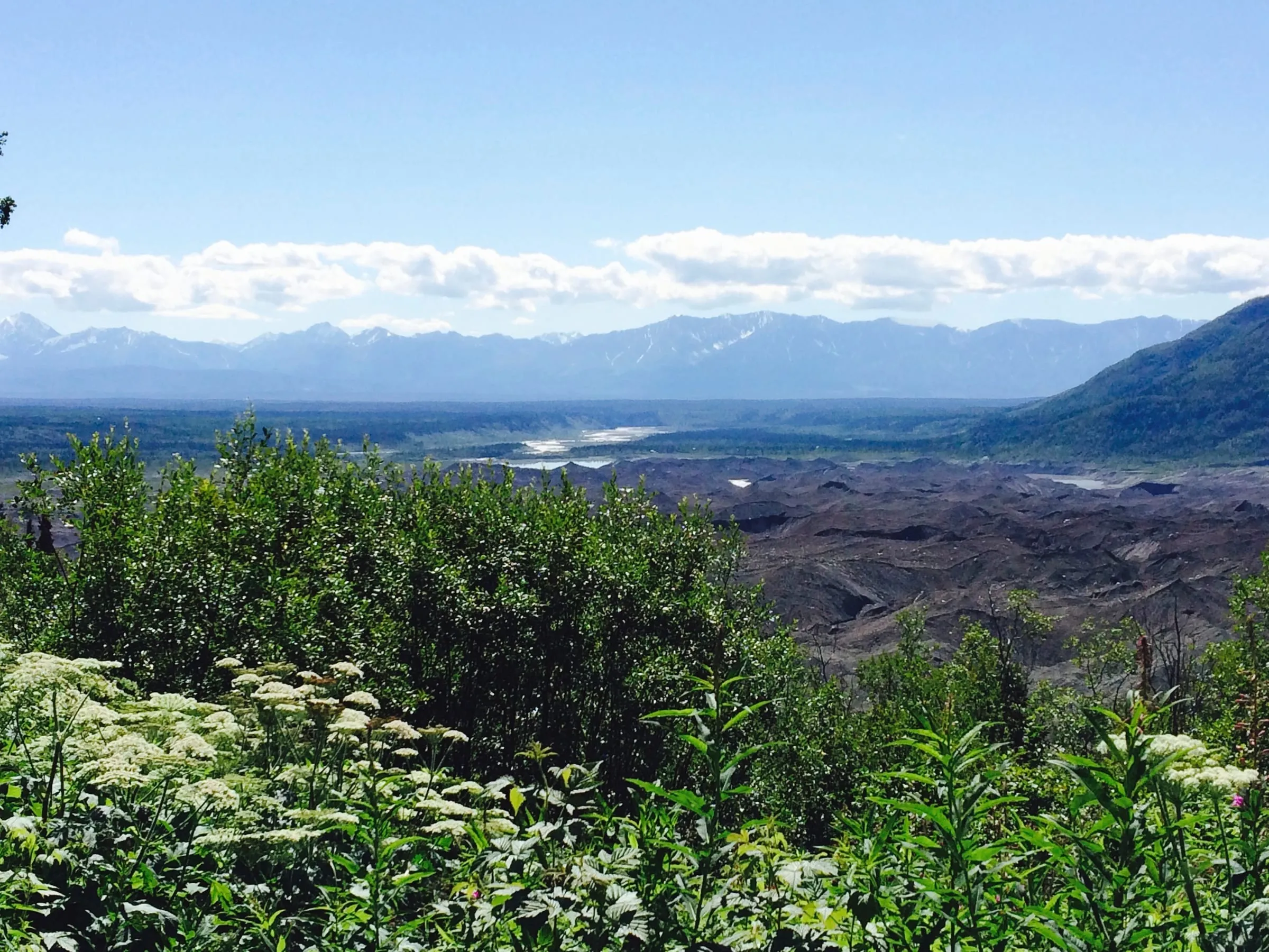 View of the Chugach Mountains from our front yard